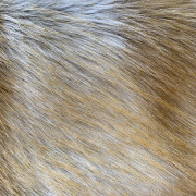 Хутро штучне Лисиця світла