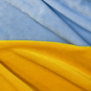 Хутро штучне для іграшок жовтий