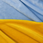 Хутро штучне для іграшок блакитний
